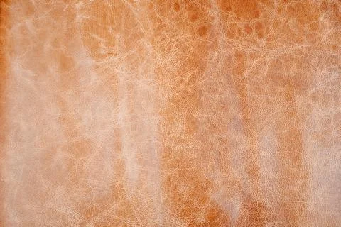 Brown Shiny Leather Texture. Stock Photos