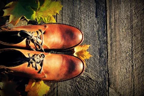 Brown shoes on fall background. Top view Stock Photos