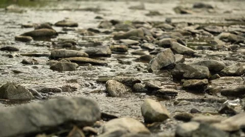 Brown silted stones in the river close-up Stock Footage 318009604