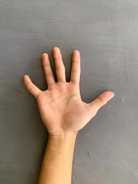 A brown skinned hands  against a plain white gray background Stock Photos