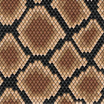 Brown snake seamless pattern 库存插图