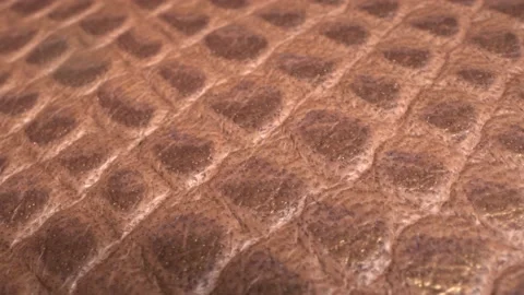 Brown snakeskin pattern extra close up. Snake, crocodile or lizard skin Stock Footage 139380233