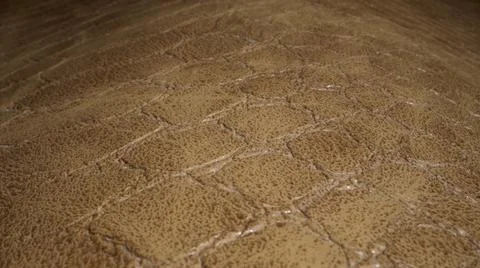 Brown snakeskin pattern extra close up. Snake, crocodile or lizard skin. The Foto stock