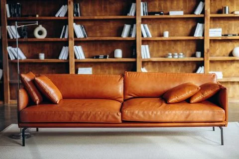 Brown sofa on the background of a bookcase Stock Photos