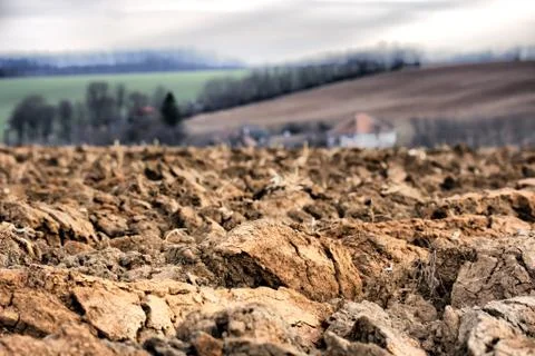 Brown soil Foto stock