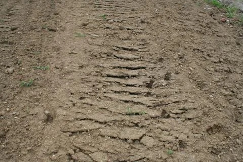 Brown soil 写真素材