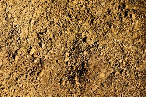 Brown soil texture close-up background Stock Photos