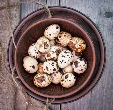 Brown spotted quail eggs in ceramic bowl Foto stock