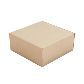 A brown Square Corrugated Box image isolated on a white background Illustrazione stock