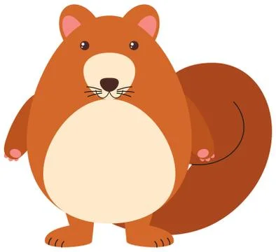 Brown squirrel on white background Stock Illustration