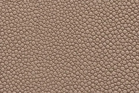 Brown Stingray Pattern Leather Surface Texture Stock Photos