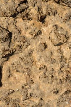 Brown stone texture, close-up stone background texture Stock Photos