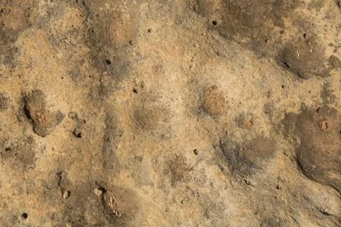 Brown stone texture, close-up stone background texture Stock Photos