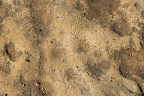 Brown stone texture, close-up stone background texture Stock Photos