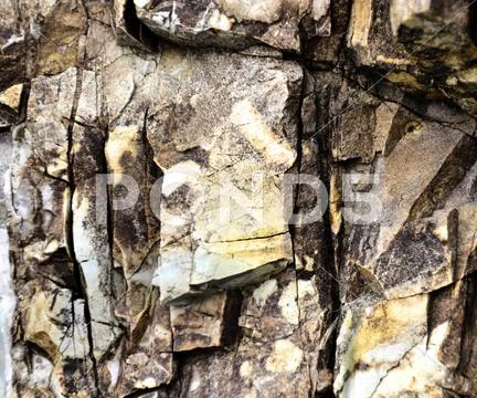 Brown stone texture Stock Photos