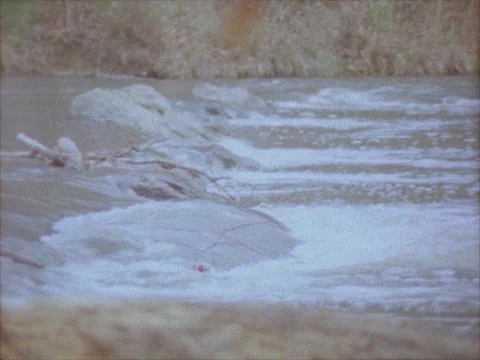 Brown Stream With Log In View Video stock 154667251