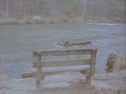 Brown Stream With Trees And Bench In View Video stock 154666863
