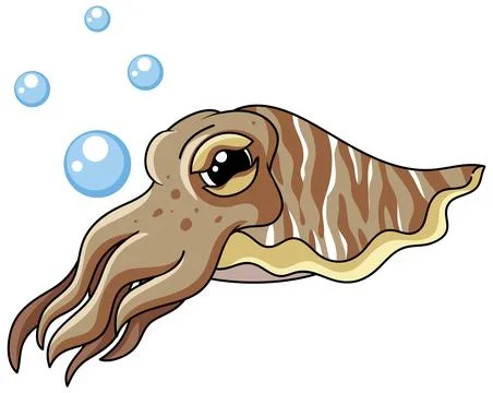 A brown striped cuttlefish swims gracefully with blue bubbles in a clean vect Stock Illustration