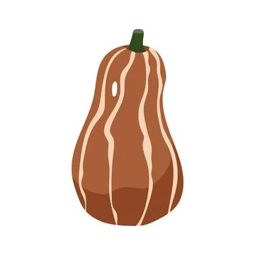 Brown striped pumpkin vector illustration decorative autumn harvest vegetable Stock Illustration
