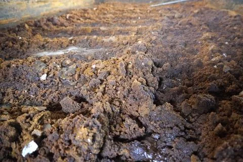 Brown sugar in processing factories Stock Photos