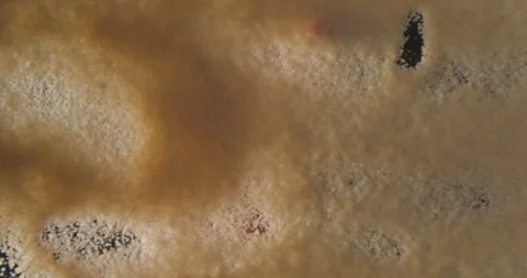 Brown sugar, sand, smiley drawn with hand from below 4K pro res Video stock 274906761