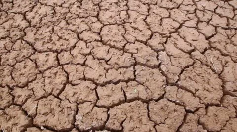 Brown surface of crack clay, panoramic motion Video stock 12365868