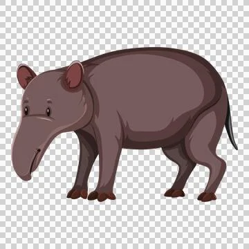 Brown Tapir Standing Sideways Ilustração Stock
