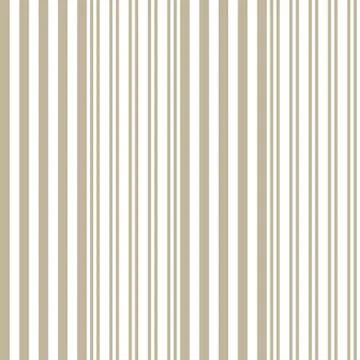 Brown Taupe Stripe seamless pattern background in vertical style Stock Illustration