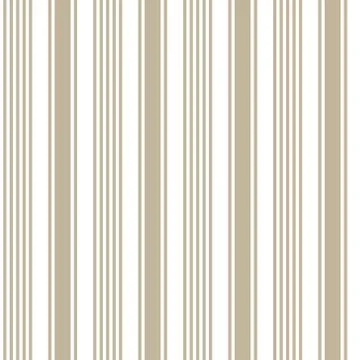 Brown Taupe Stripe seamless pattern background in vertical style Stock Illustration