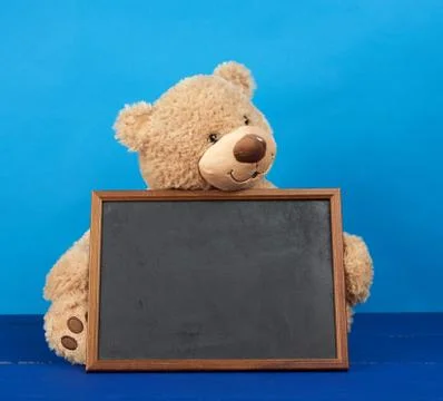 Brown teddy bear and empty wooden rectangular frame 写真素材