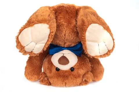 Brown teddy bear with dark blue bow tie upside down on white Stock Photos