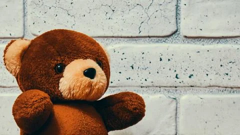 Brown teddy bear Stock Photos