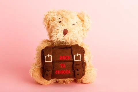 Brown teddy bear with school backpack, saturated pink background Stock Photos