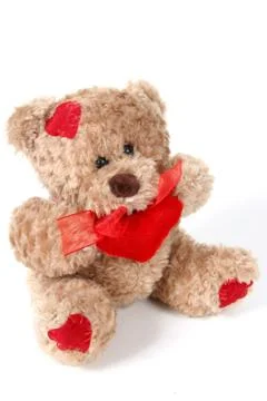 Brown teddy bear on white background Stock Photos