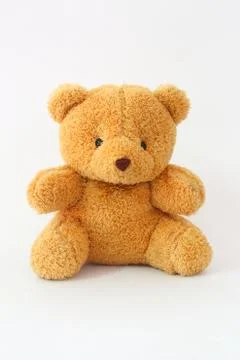 Brown teddy bear on a white background. Stock Photos