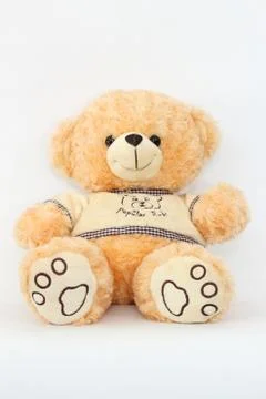 Brown teddy bear on a white background. Stock Photos