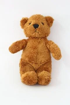 Brown teddy bear on a white background. Stock Photos