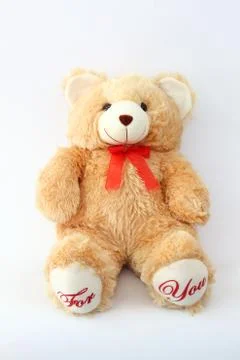 Brown teddy bear on a white background. Stock Photos