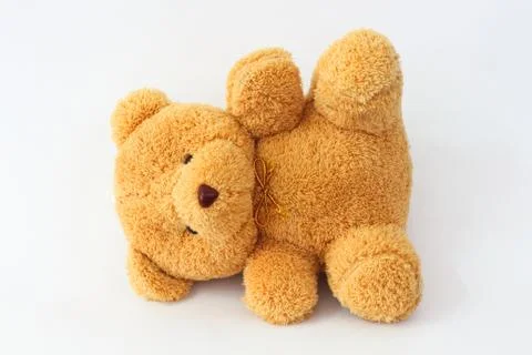 Brown teddy bear on a white background. Stock Photos