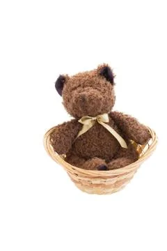 Brown teddy bear in white isolation Stock Photos