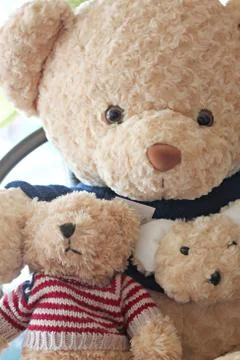 Brown teddy bears. Stock-Fotos