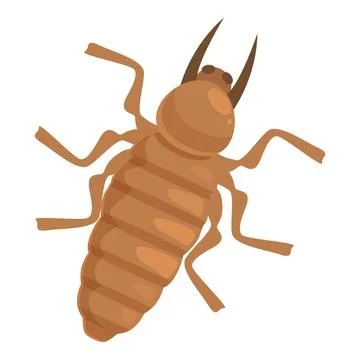 Brown termite is walking with its big antennas Stock Illustration