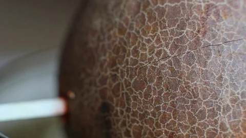 Brown texture of avocado bone, seed Video stock 95842869