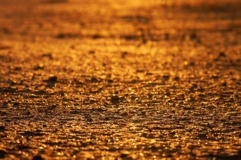 Brown texture background Stock Photos