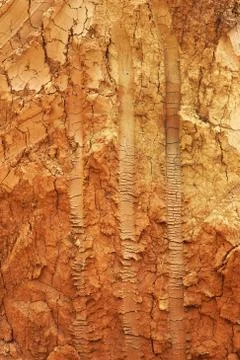 Brown texture background Stock Photos