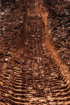 Brown texture background Foto stock