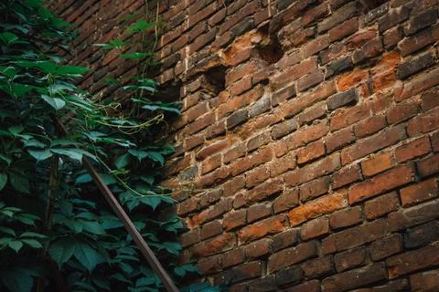 Brown texture. Stone background. Rock texture. Grunge Rough structure. Abstra Stock Photos