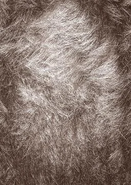 Brown textured background forming dynamic patterns, adding visual interest to Stock Photos