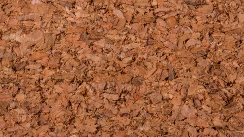 Brown, textured Cork tree background, stop motion Stock Footage 125445249
