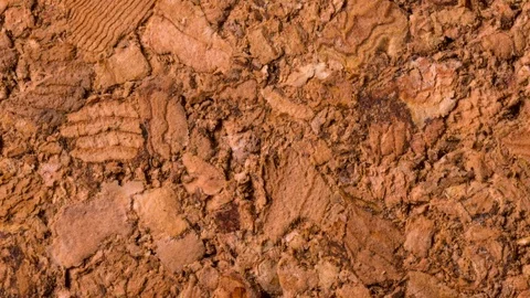 Brown, textured Cork tree background, stop motion Stock Footage 125445256